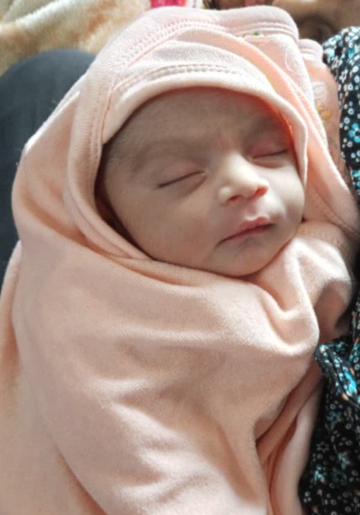 Mehedi